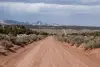 usa-381