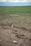 usa-911