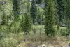 usa-1095