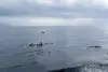 usa-3347