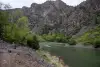 USA-0977