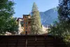 usa-2832